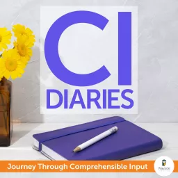 CI Diaries Podcast artwork