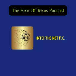 Into The Net F.C. Podcast artwork