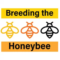 Breeding the Honeybee Podcast artwork