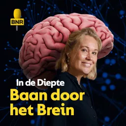 In de Diepte: Baan door het Brein Podcast artwork