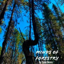 Minds of Forestry Podcast artwork