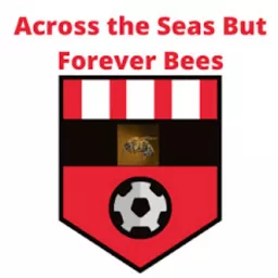 Across the Seas but Forever Bees - An American Brentford Podcast artwork