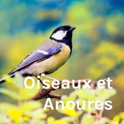 Oiseaux et Anoures Podcast artwork
