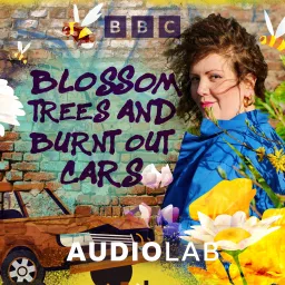 Blossom Trees and Burnt Out Cars Podcast artwork