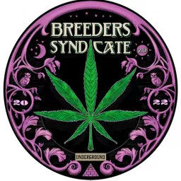 Breeders Syndicate 2.0 Podcast artwork