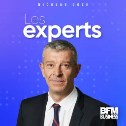 Les experts Podcast artwork