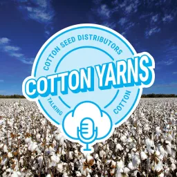 Cotton Yarns