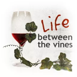 Life Between the Vines Podcast artwork