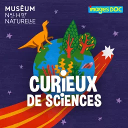 Curieux de sciences Podcast artwork