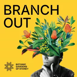 Branch Out Podcast artwork