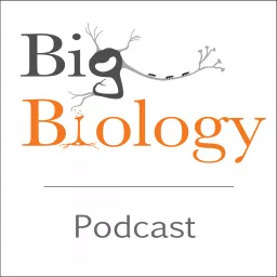 Big Biology Podcast artwork