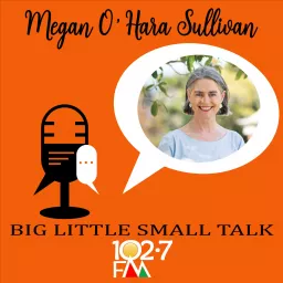 Big Little Small Talk Podcast artwork