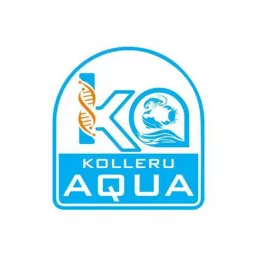 Kolleru Aqua India's First Fully Automatic Recirculating Aquaculture System Podcast artwork