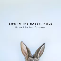 Life In The Rabbit Hole Podcast artwork