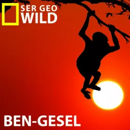 Ben-gesel Podcast artwork