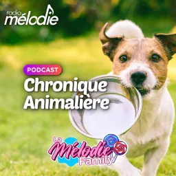 Chronique Animalière - Radio Mélodie