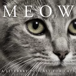 MEOW: A Literary Podcast for Cats artwork