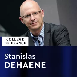 Psychologie cognitive expérimentale - Stanislas Dehaene