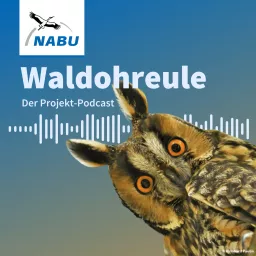 Waldohreule - NABU Projekt-Podcast artwork