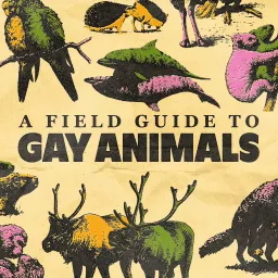 A Field Guide to Gay Animals Podcast artwork
