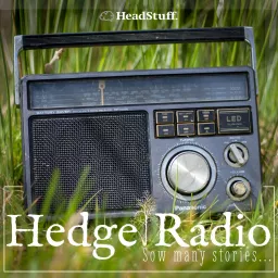 The HedgeRadio Podcast artwork