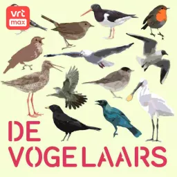 De Vogelaars Podcast artwork