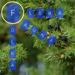 Flora Fauna Folka Podcast artwork