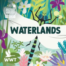 Waterlands