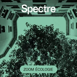 Zoom écologie