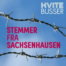 Stemmer fra Sachsenhausen Podcast artwork