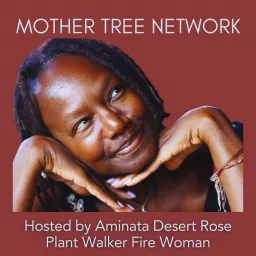 Mother Tree Network Podcast artwork