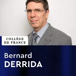 Physique statistique - Bernard Derrida Podcast artwork