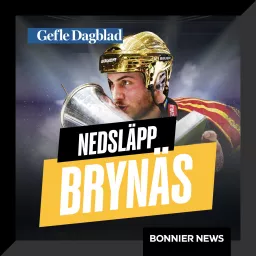 Nedsläpp Brynäs