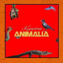 Kingdom: Animalia - A Zoology Podcast for Kids artwork