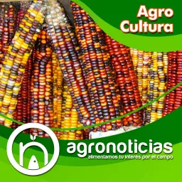 AgroCultura