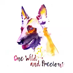 Our One Wild And Precious Lives (And Our Dogs)