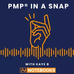 PMP in a Snap Podcast artwork