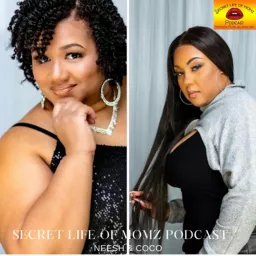 Secret Life of Momz Podcast artwork
