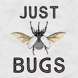Just Bugs Podcast artwork
