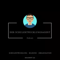 Der Schulentwicklungsagent