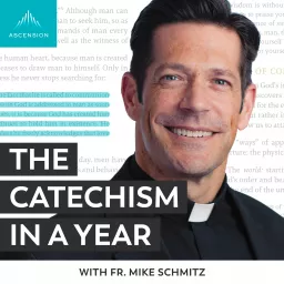 The Catechism in a Year (with Fr. Mike Schmitz) Podcast artwork