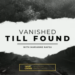 Vanished Till Found Podcast artwork