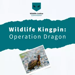 Wildlife Kingpin Podcast artwork