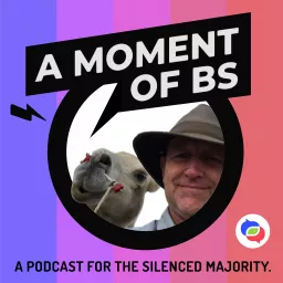 A Moment of BS: Bill Shireman Disrupts the Dividers Podcast artwork