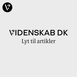 Videnskab.dk - Lyt til artikler Podcast artwork
