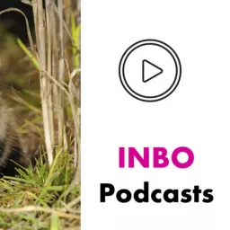 INBO podcasts