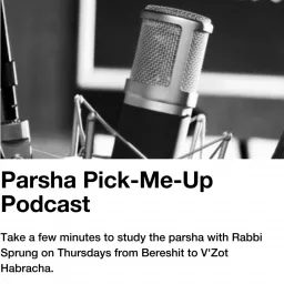 Parsha Pick-Me-Up Podcast artwork