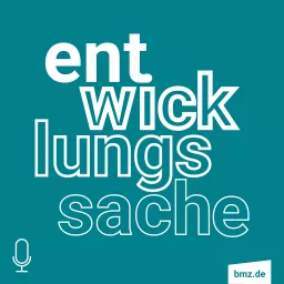 Entwicklungssache Podcast artwork