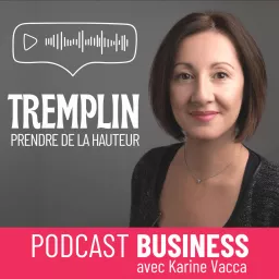 TREMPLIN BUSINESS - Prendre de la hauteur Podcast artwork