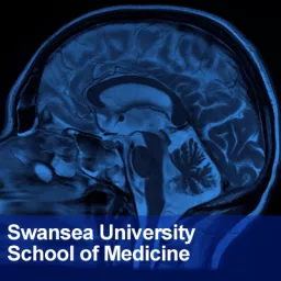 Swansea University Medical School: Neuroscience Podcast artwork